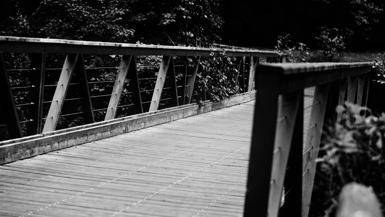 Як обрати туристичний рюкзак для походів: важливі поради для новачків