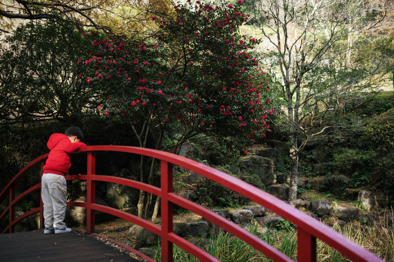 Лайфхаки для організації бюджетного відпочинку на природі