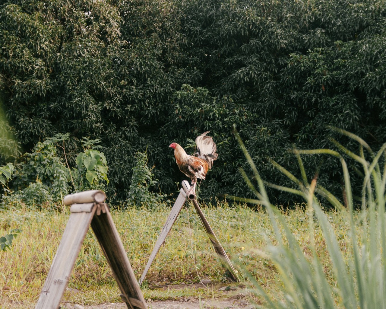 Рейтинг найпопулярніших велосипедних маршрутів України у 2025 році