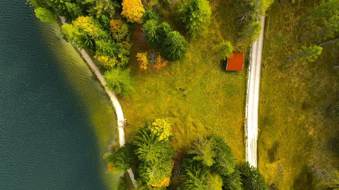 Топ-7 додатків для планування активного відпочинку у 2025 році