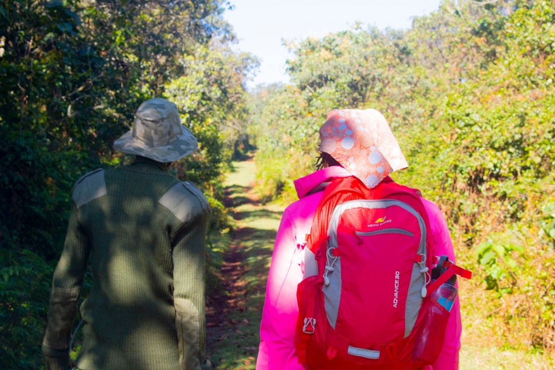 Порівняння туристичних рюкзаків: що краще для трекінгу та коротких подорожей